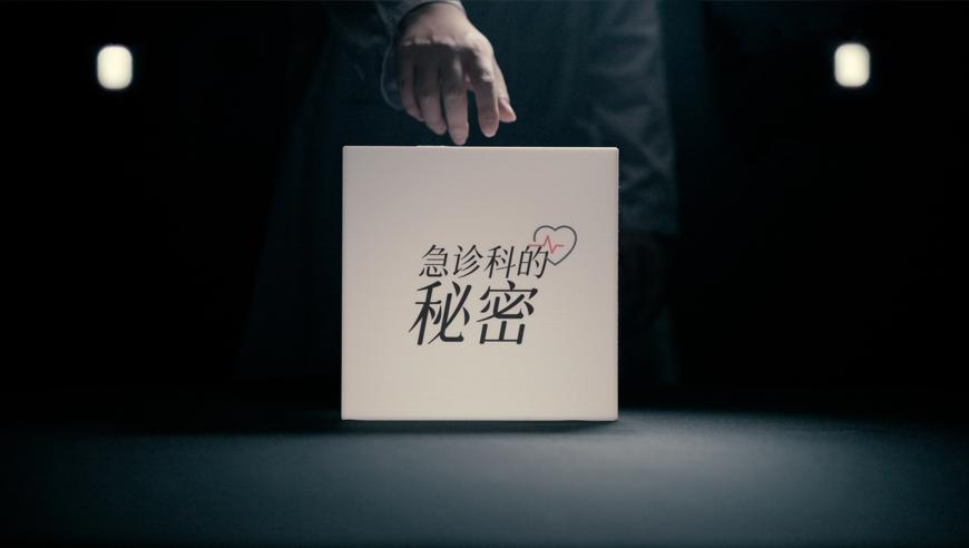 上海多地发现海狸鼠,新澳门六开奖结果资料查询神算子,前瞻性战略落实探讨_完整版V15.55