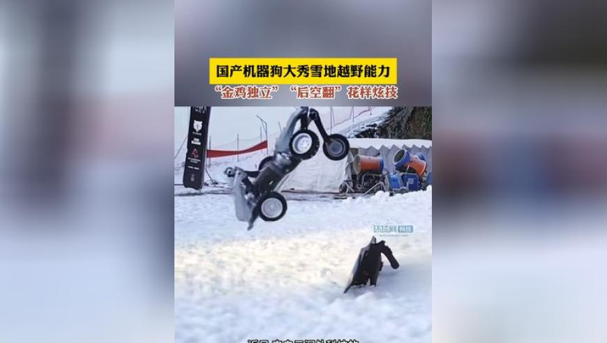 俞灏明王晓晨韩国约会,2025澳门资料大全免费云骑士,动态词语解释落实_完整版V15.41