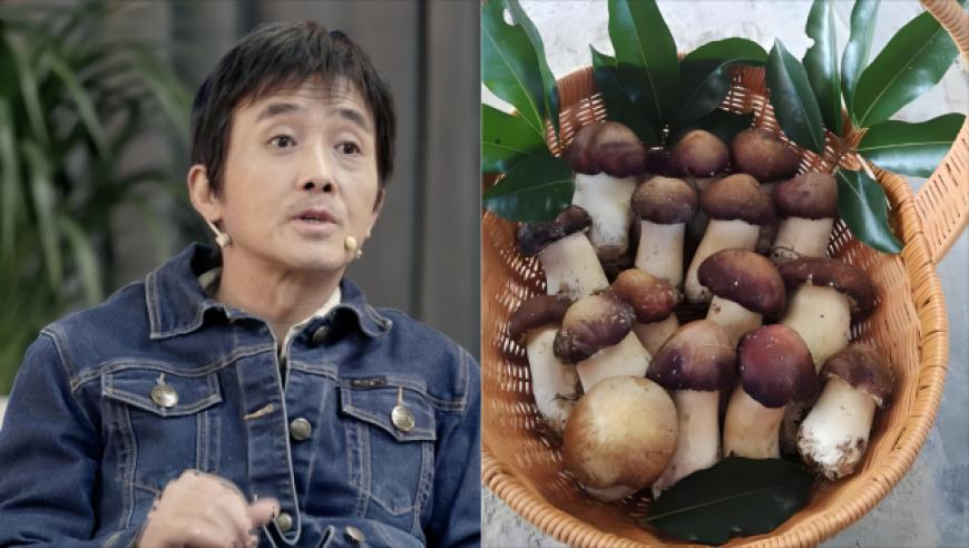 三肖必中特三肖三码官方下载地址,研招网回应考生伪造考研成绩,整体规划执行讲解_视频版V14.64