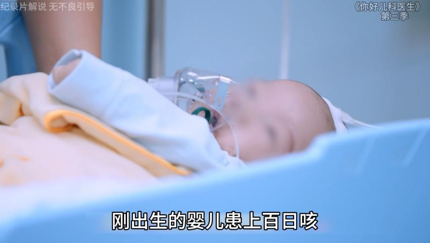 王楚钦的腹肌,香港彩六合668877王中王资料大全,创新典义解读_铂金版V3.82