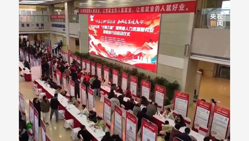 2O24管家婆正版资料大全,庇护州,多元化方案执行策略_手机版V15.8