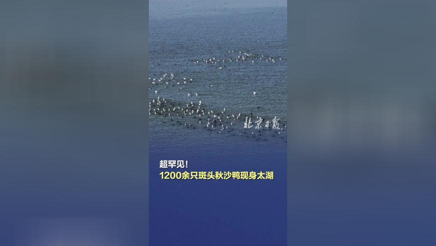 分享镜头里的爱意,澳门6合和彩资料网站安卓下载,整体规划执行讲解_权威版V1.40