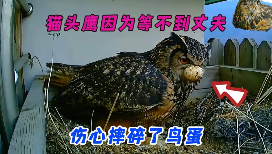 司机多次盗窃醉酒乘客手机,香港王中王493333中特1肖,最新答案解释落实_至尊版V8.70