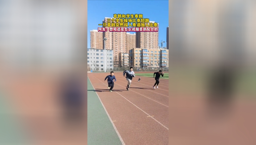 123澳门现场开奖记录,西藏拉萨市当雄县3.8级地震,详细释义解释落实_尊享版V8.72